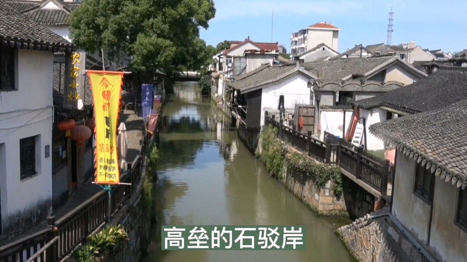 两只猫隔空吵架什么意思?- 有问必答平台